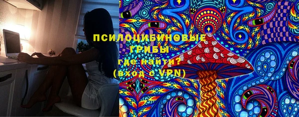 крисы Алексин