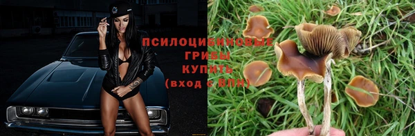 а пвп мука Алзамай