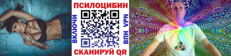 kraken онион  Зверево  Псилоцибиновые грибы Magic Shrooms 